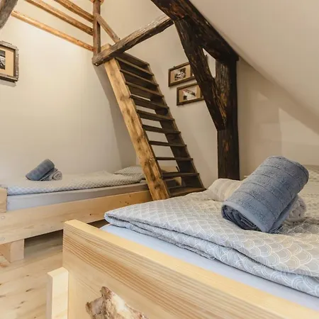 Luxury Rustic With Pool&sauna Lasko