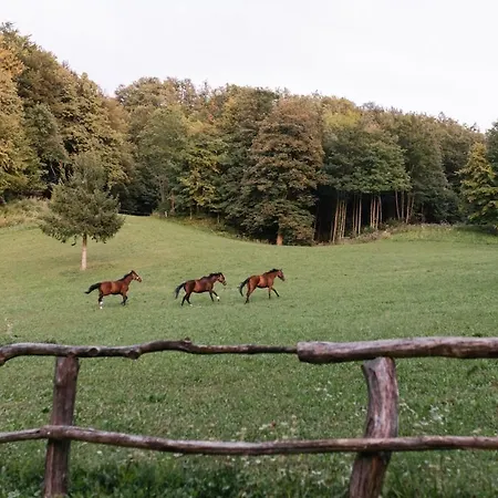 Apartmán Luxe Ranch Skapin *