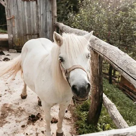 Luxe Ranch Skapin * Laško