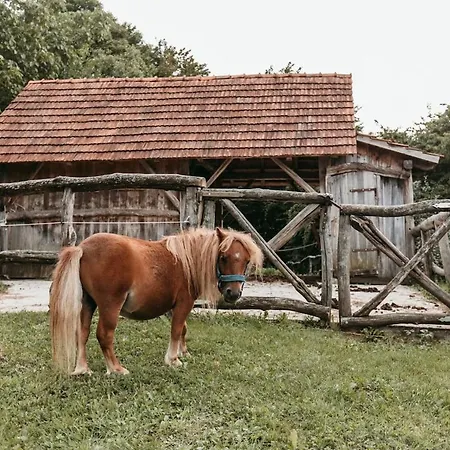Luxe Ranch Skapin