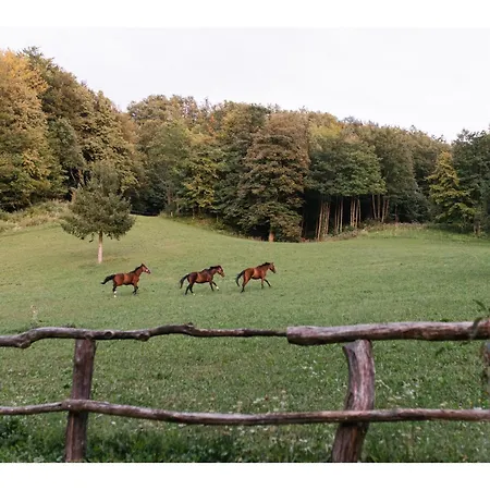 Apartmán Luxe Ranch Skapin
